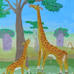 Жаркие страны