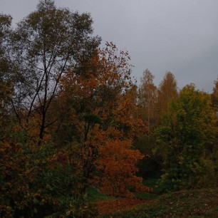 Краски осени