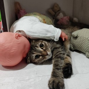 "В тесноте - да не в обиде!"