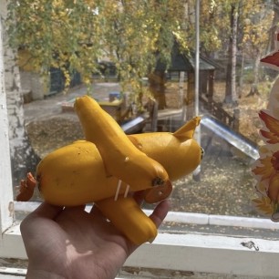 Яркий самолет