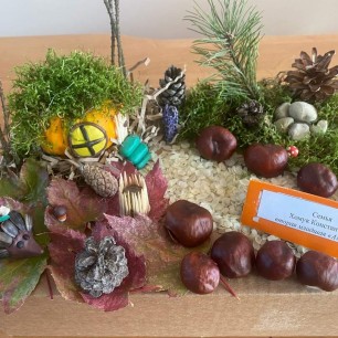 На лесной опушке