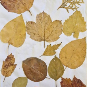 Вальс осени