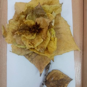 Осенний цветок