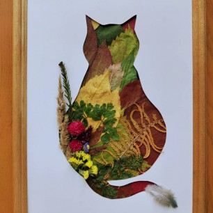 Кошка