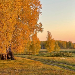 "Осень в лесу"