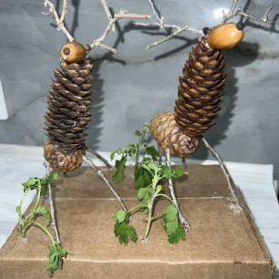 "Лесные жители"