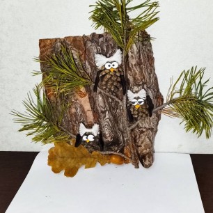 "Мудрые совушки"