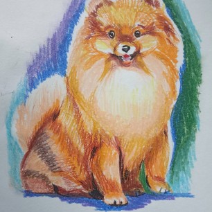 "Мой пушистик"