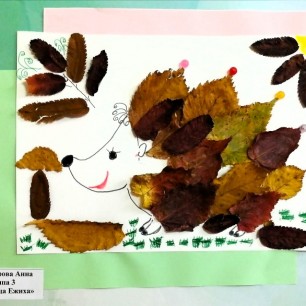 Красавица Ежиха