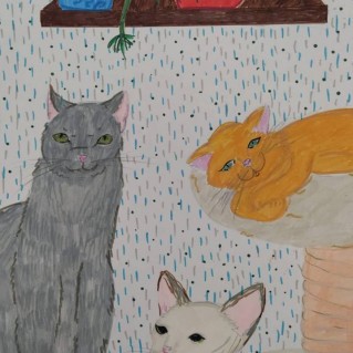 Кошачья дружба