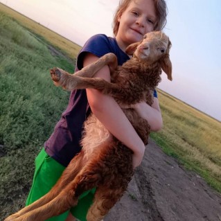 Мой верный друг