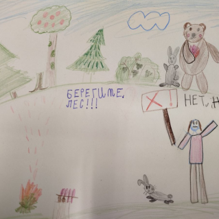 Берегите лес