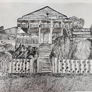 Барский дом ,  размер 30х80    тушь, перо 2026г.