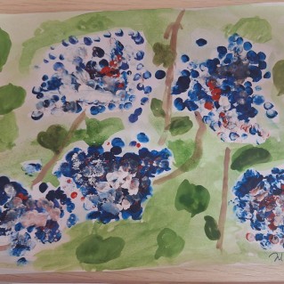 Сирень Жазгул