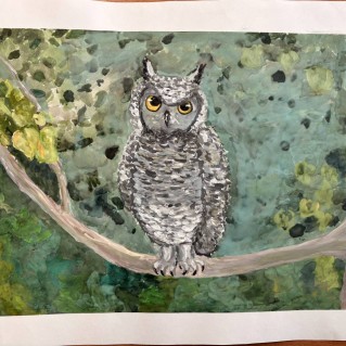 "Птица ночи"