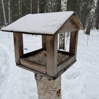 Покормите птиц зимой