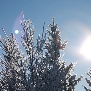 "Солнечный зайчик"