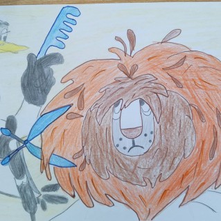 "Стрижка только началась!"