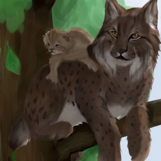 Семейство рыси