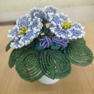 "Нежные фиалки для мамы"