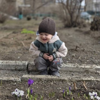 Первоцветы "Крокусы"