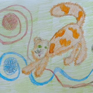 Кот-хулиган