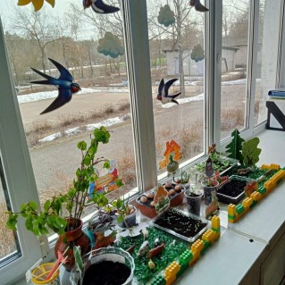 "Огород на окне"