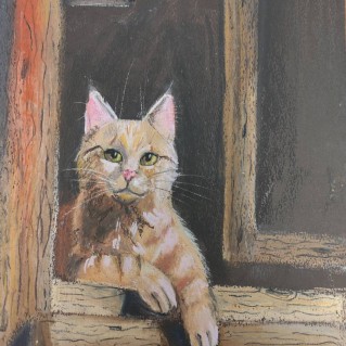 Деревенский кот