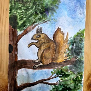 Белка на дереве.