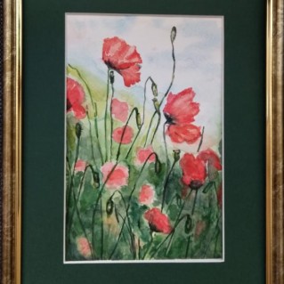 Красные маки