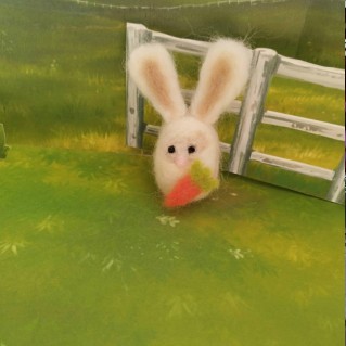 по мотивам книги: «Про зайку Степашку, морковку и не только…