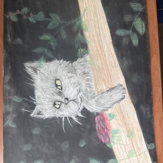 Котик