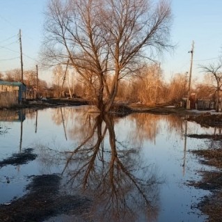 Отражение осени