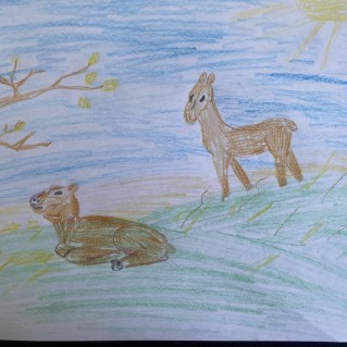Сайгак