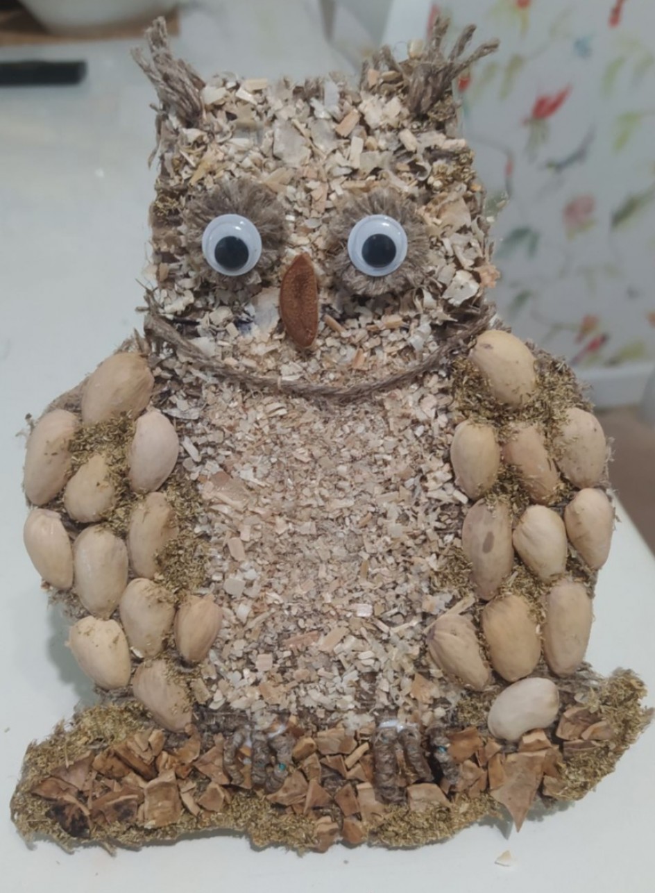 Сова