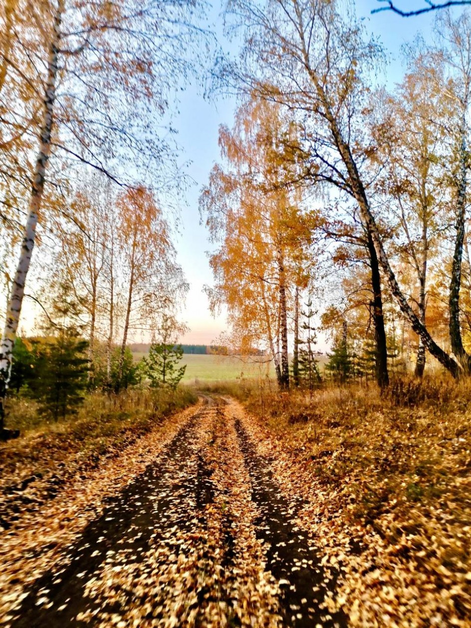 Золотая осень