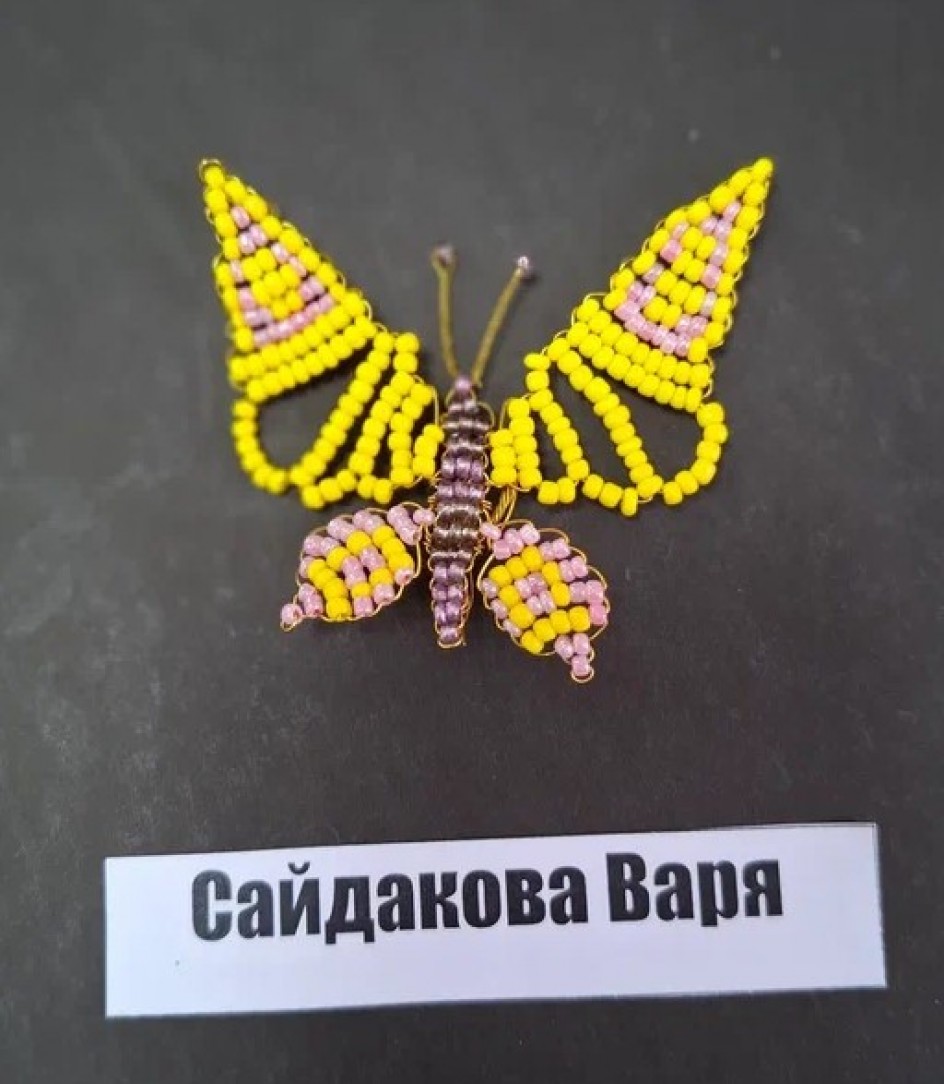 Моя первая бабочка