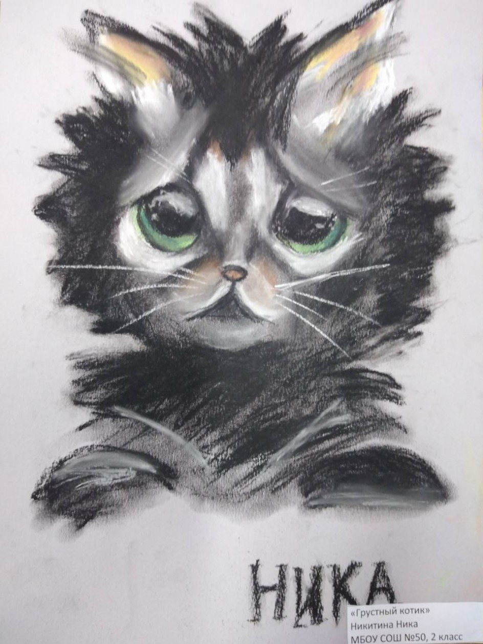 Грустный котик