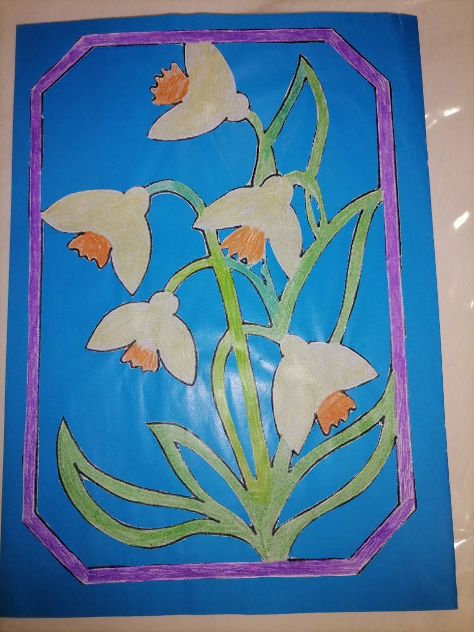 Нарциссы