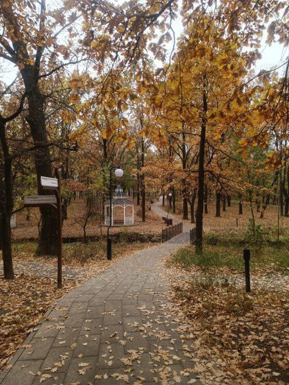 Осень в Дубках