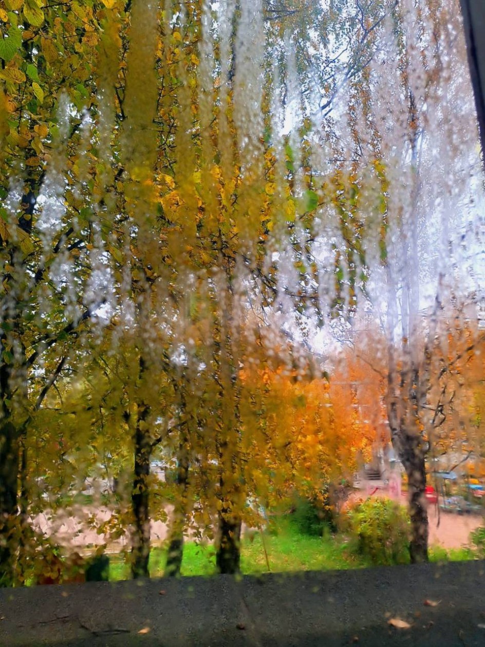Слёзы осени