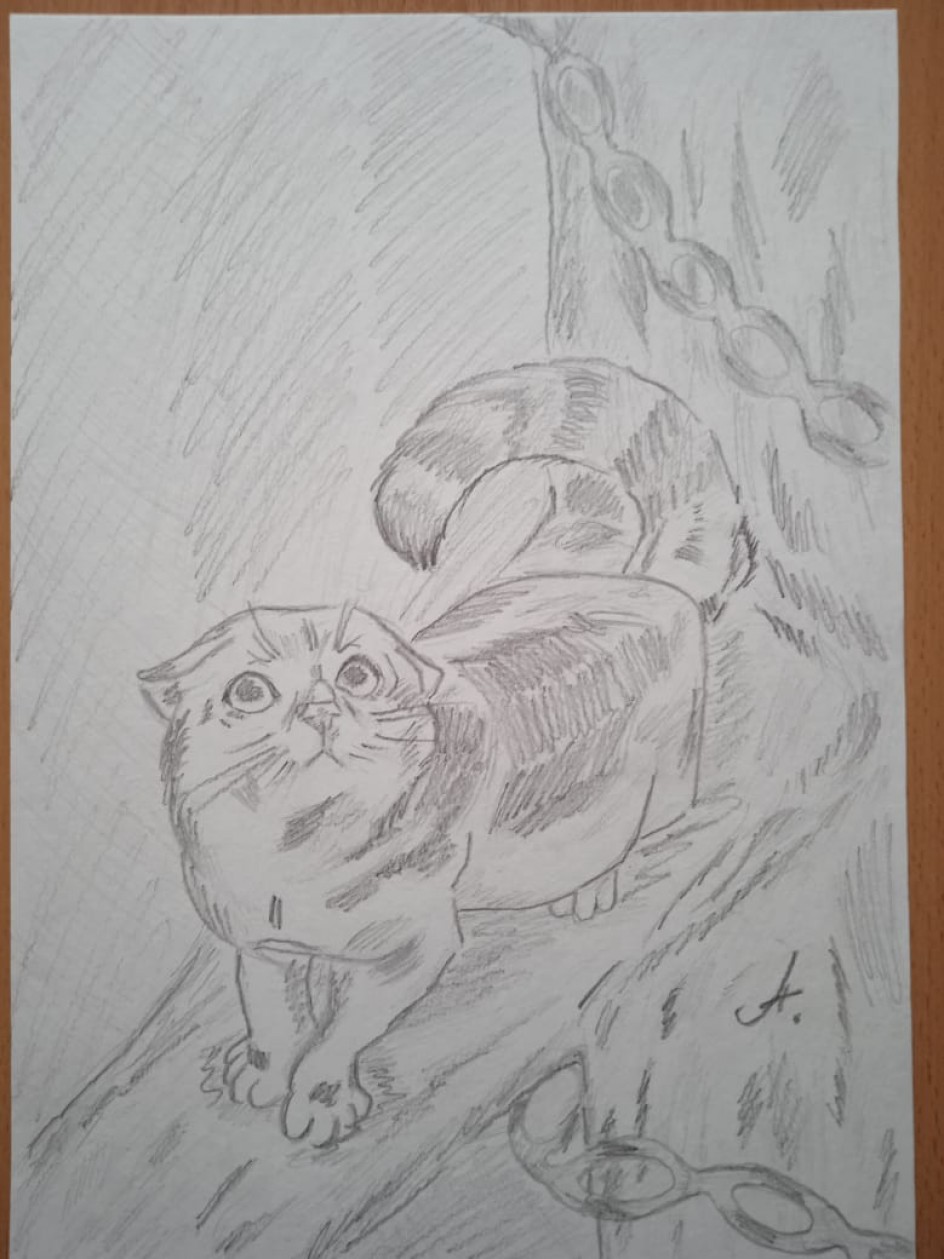 Кот учёный