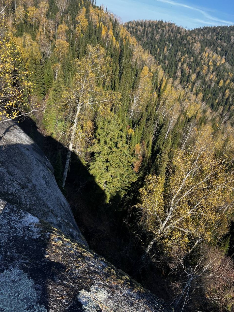 Осенняя палитра чудесного леса