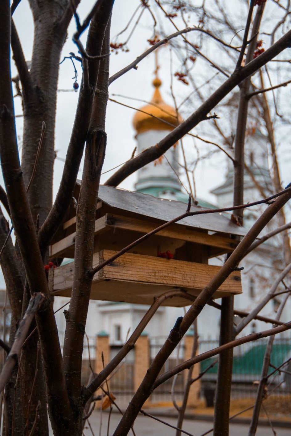"С заботой о пернатых"