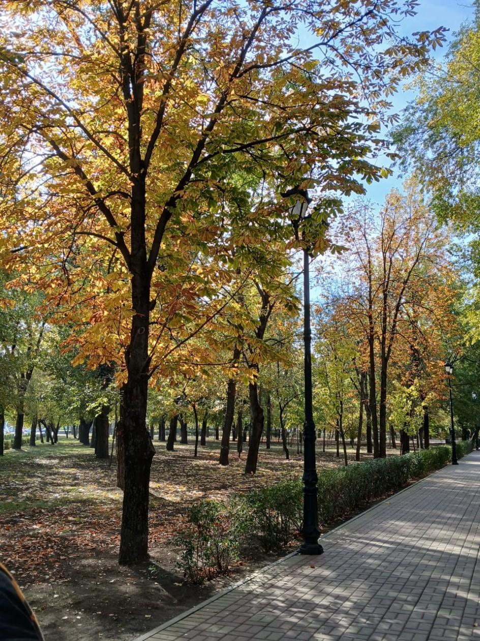 Осень в парке