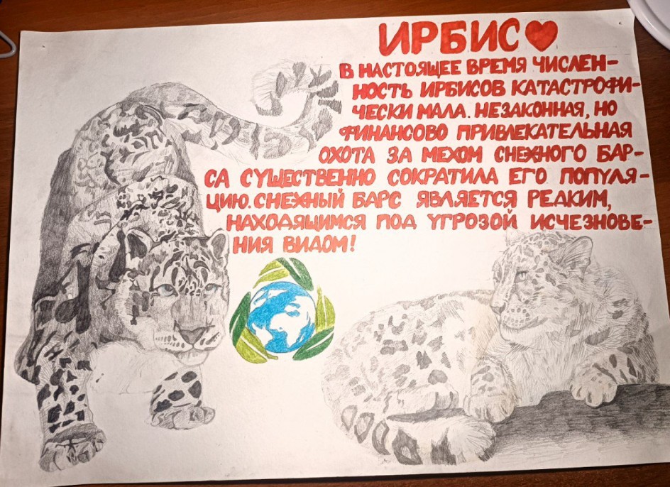 Спасите ирбисов!