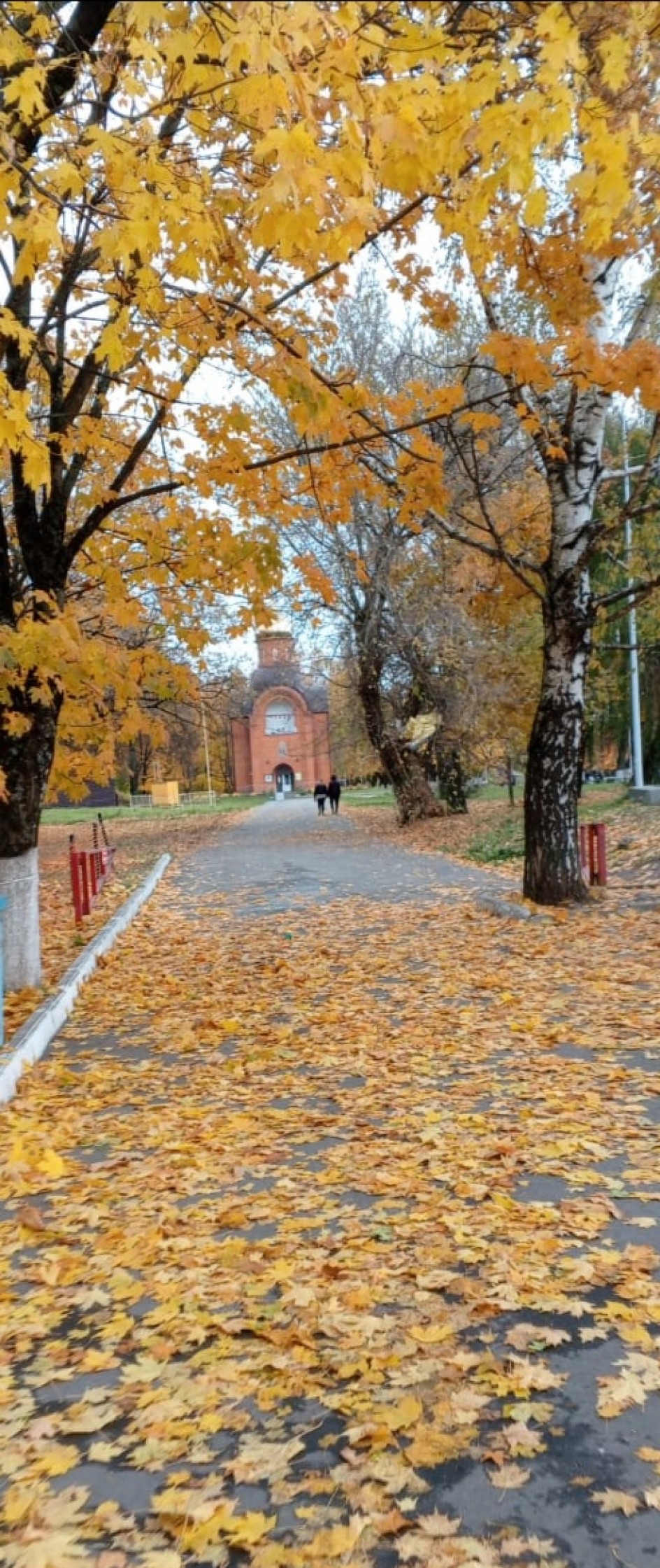 Вот и осень...