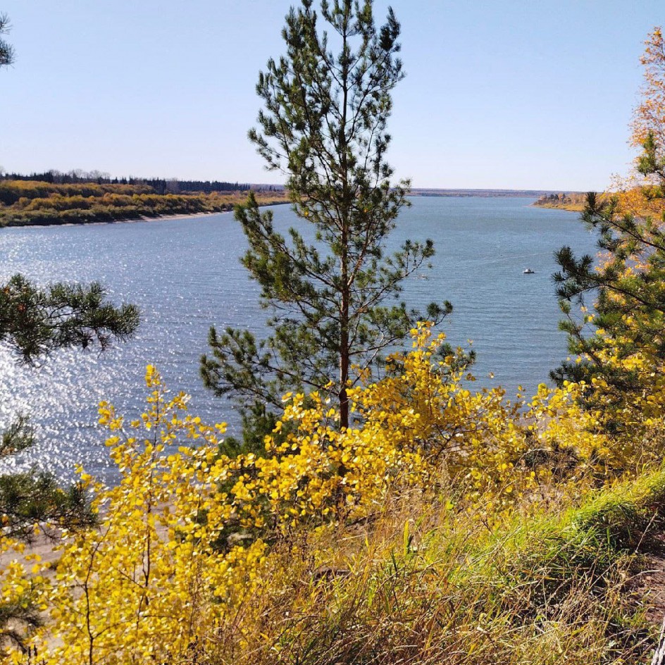 "Гармония.Осень."