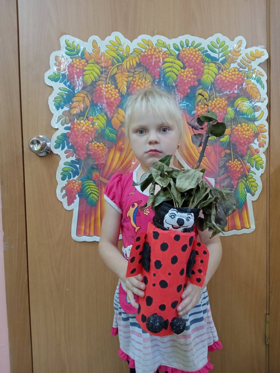 Божья коровка