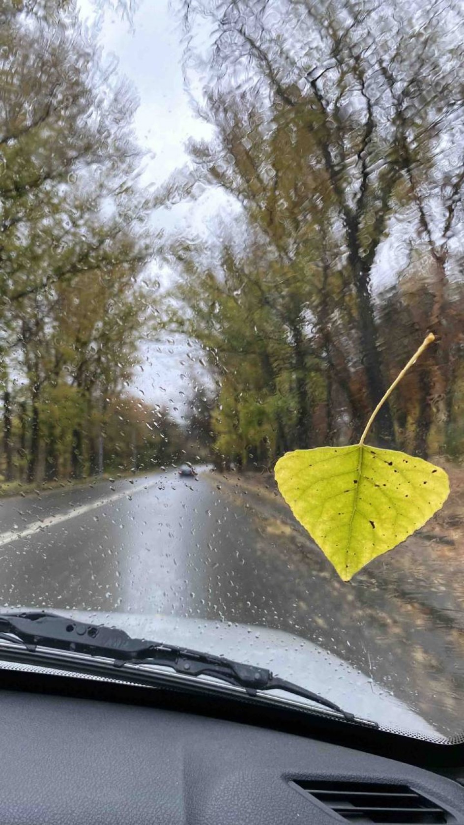 Осенние пейзажи